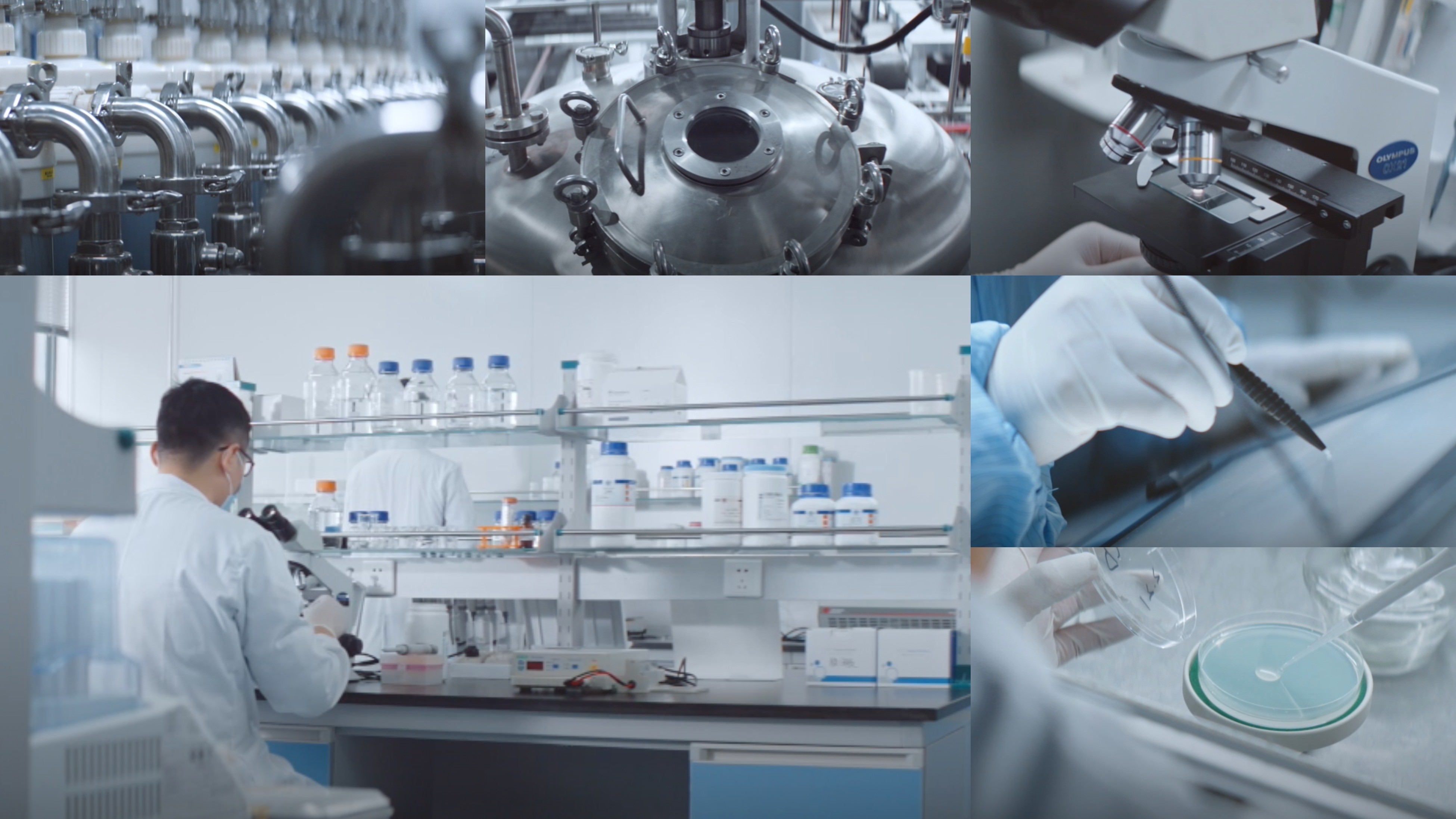 江苏广东会|生物医药|重组胶原蛋白|unicollagen