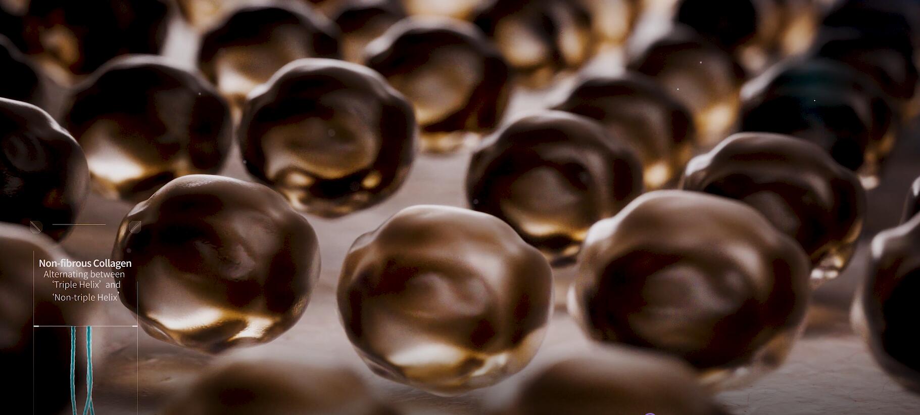 新闻 | 广东会医疗重组XVII型胶原功效探索，助力头皮“年轻态”新选择